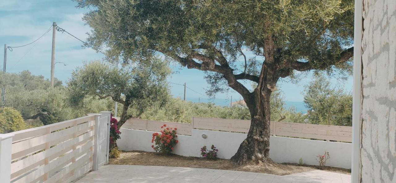 Villa Zante Avia Plános Exteriér fotografie